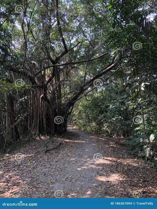 รวมกัน 103+ ภาพ sri nakhon khuean khan park and botanical garden ใหม่ที่สุด